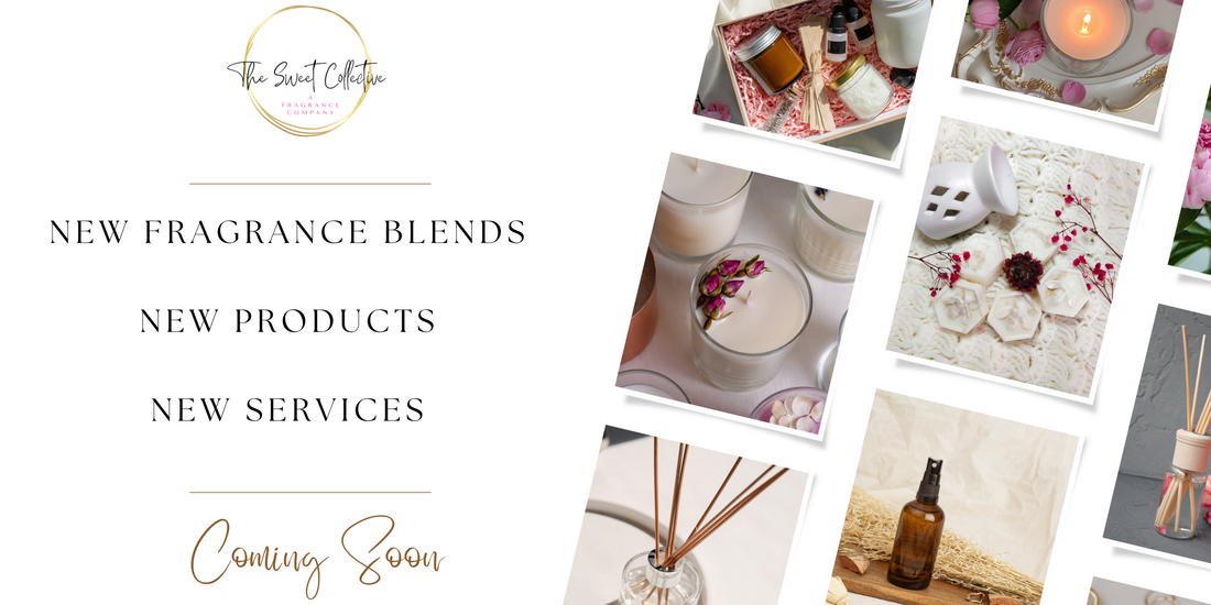 2025 Scent Refresh